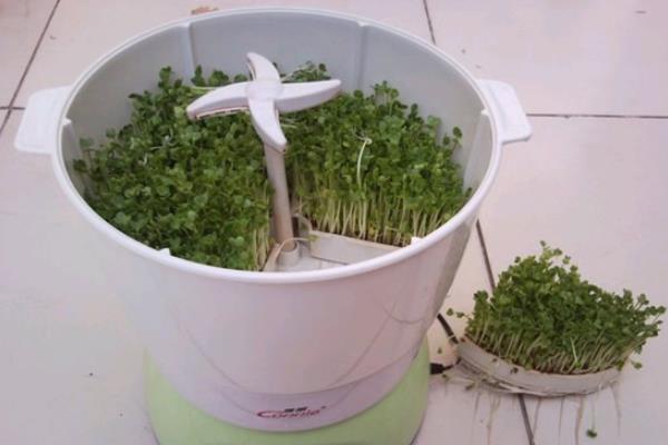 豆芽機(jī)品牌排行榜 家用豆芽機(jī)哪種最好