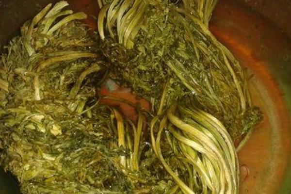 胡蘿卜葉怎么吃 胡蘿卜葉可以吃嗎-