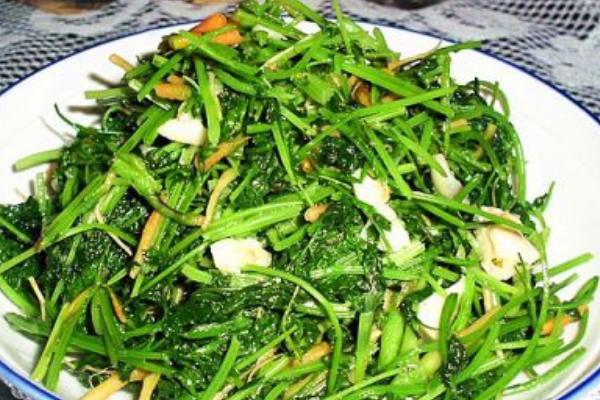 胡蘿卜葉怎么吃 胡蘿卜葉可以吃嗎-