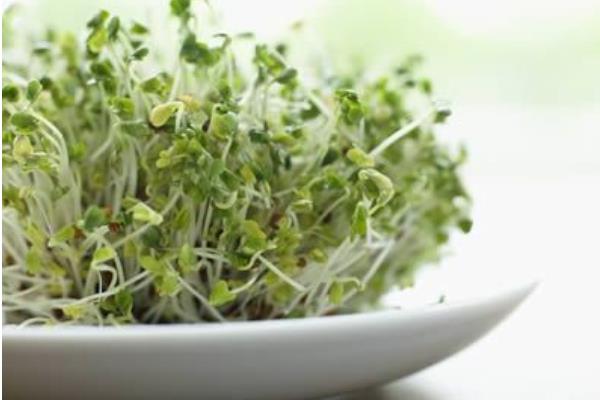 一斤綠豆能生出多少斤綠豆芽