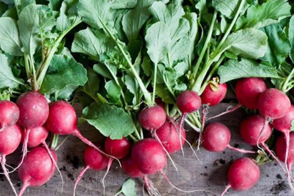 紅蘿卜是胡蘿卜嗎 胡蘿卜和紅蘿卜有什么區別