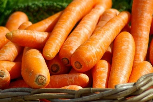 紅蘿卜是胡蘿卜嗎 胡蘿卜和紅蘿卜有什么區別