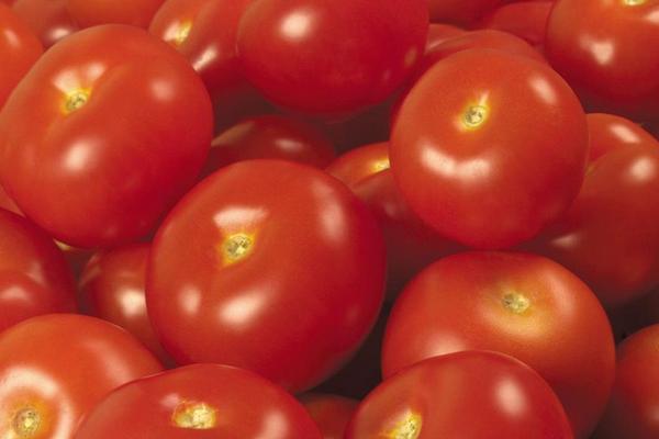 番茄雞蛋面做法大全 番茄雞蛋面怎么做好