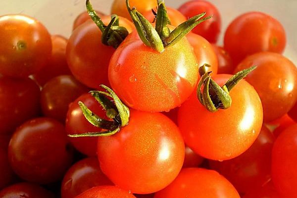 番茄雞蛋面做法大全 番茄雞蛋面怎么做好