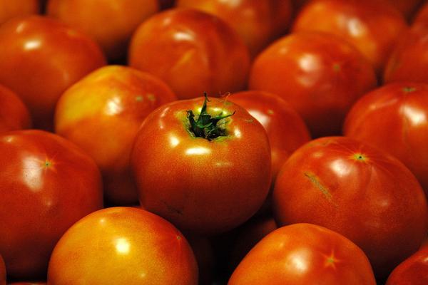 番茄功效與作用及禁忌 番茄營養價值
