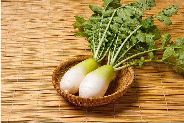 蘿卜有幾種 蘿卜品種大全