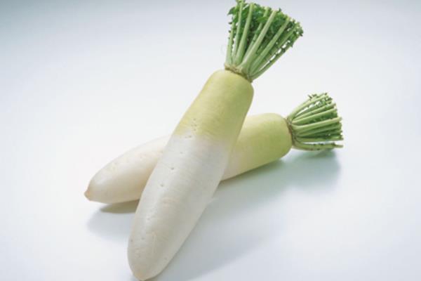 蘿卜圖片大全 蘿卜簡介