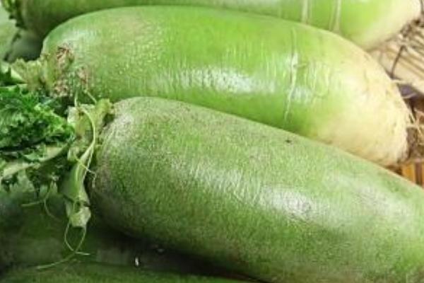 青蘿卜的功效與作用及禁忌 青蘿卜營養價值