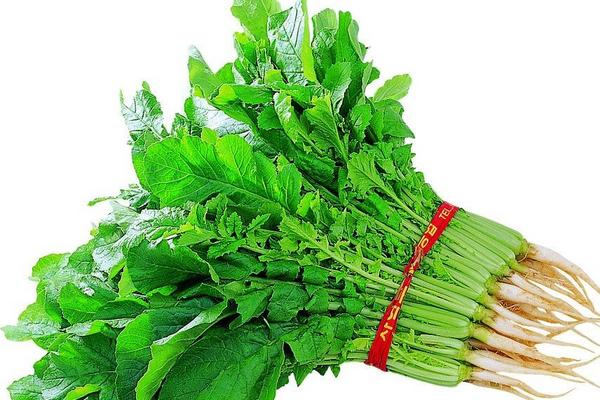 白蘿卜葉怎么做好吃 蘿卜葉做法大全