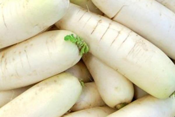 蘿卜科學(xué)種植技術(shù) 蘿卜怎么種植