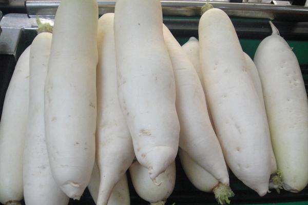 蘿卜科學(xué)種植技術(shù) 蘿卜怎么種植