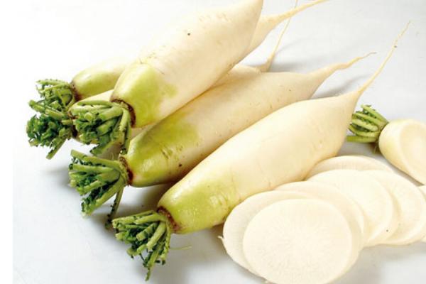 蘿卜種植時間 蘿卜成熟季節