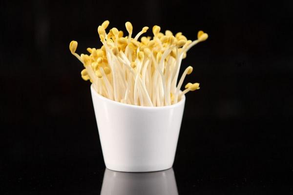 黃豆芽的做法大全 黃豆芽家常怎么炒好吃