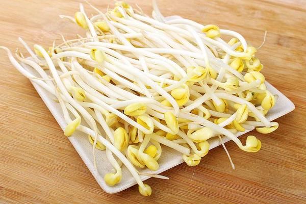 黃豆芽的做法大全 黃豆芽家常怎么炒好吃