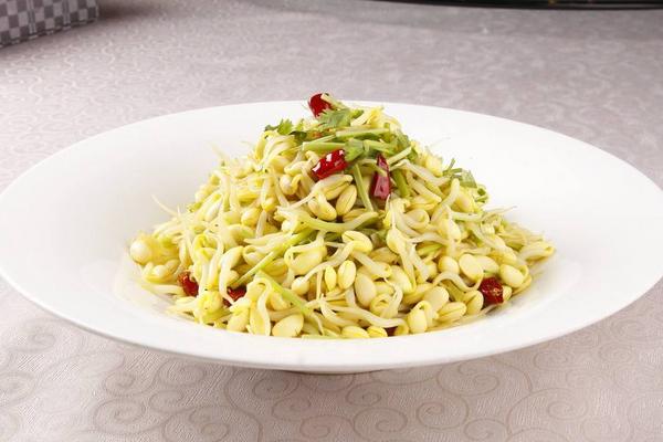 黃豆芽的做法大全 黃豆芽家常怎么炒好吃