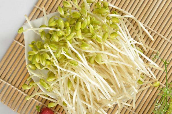 黃豆芽怎么發最快又好生黃豆芽的方法