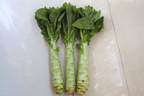 萵筍的功效與作用及禁忌 萵筍營養價值