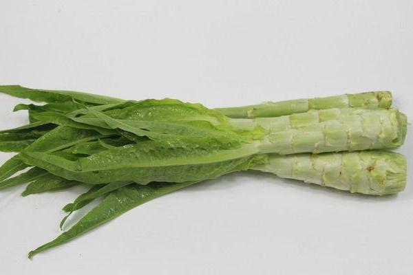 萵筍什么時候種 萵筍是哪個季節的蔬菜