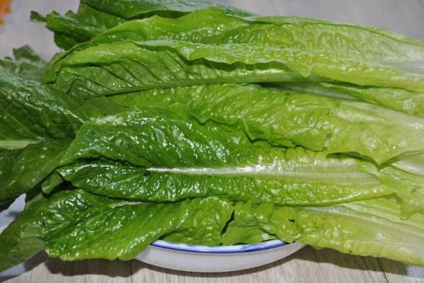 萵筍葉子能吃嗎 萵筍葉怎么煮
