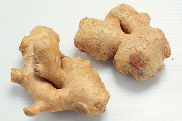 生姜市場價格多少錢一斤