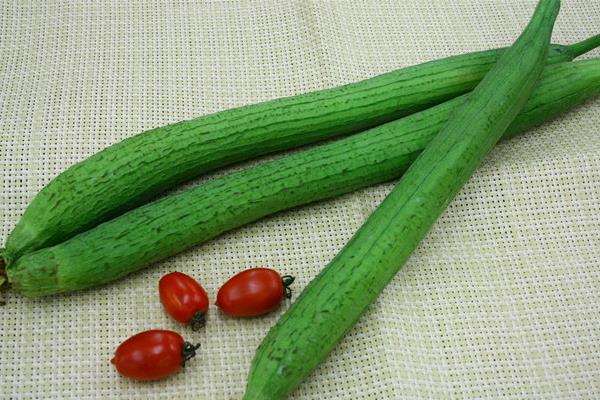 絲瓜市場價格多少錢一斤