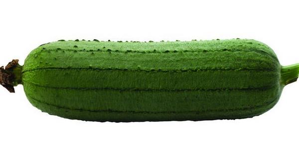 絲瓜苦的能吃嗎 絲瓜為什么會苦