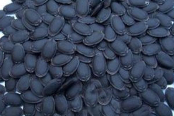 絲瓜種子市場(chǎng)價(jià)格多少錢(qián)一斤