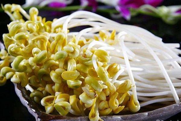 黃豆芽功效與作用 黃豆芽營養價值