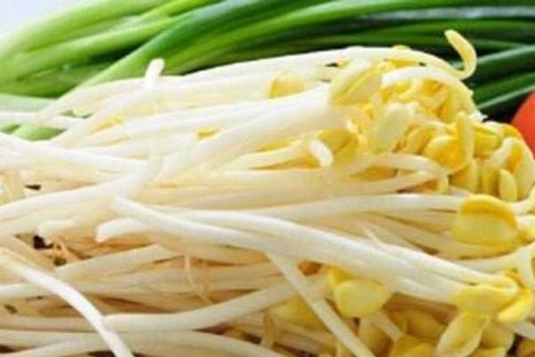 黃豆芽怎么保存 黃豆芽怎么泡