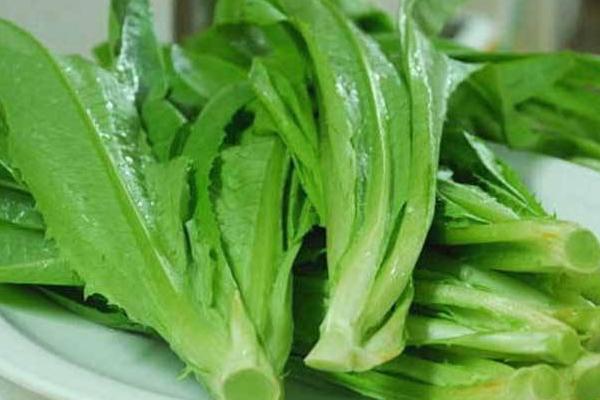 萵筍熱量有多少