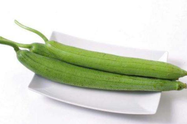 絲瓜的功效與作用及禁忌 絲瓜營養價值