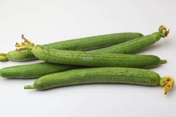 絲瓜圖片大全 絲瓜簡介