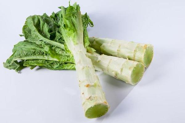 油麥菜和萵筍的區(qū)別是什么