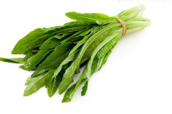 油麥菜和萵筍的區(qū)別是什么