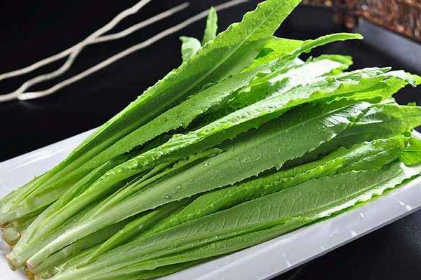 油麥菜和萵筍的區(qū)別是什么