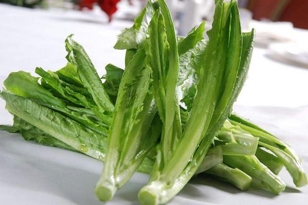 油麥菜和萵筍的區(qū)別是什么