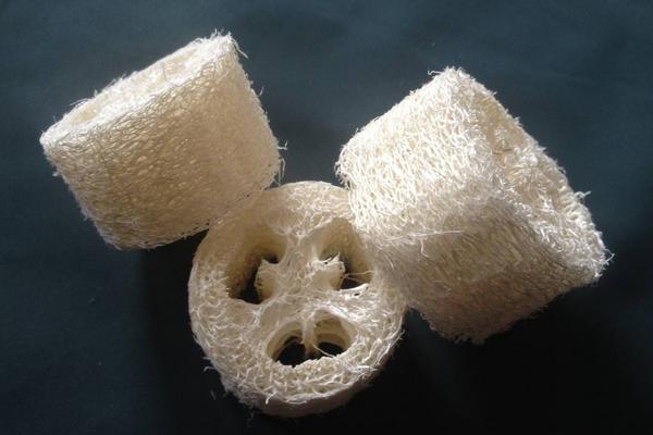 絲瓜絡的用途 絲瓜絡能加工什么產品