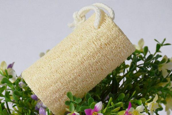 絲瓜絡煮水喝有什么功效 絲瓜絡通乳的做法