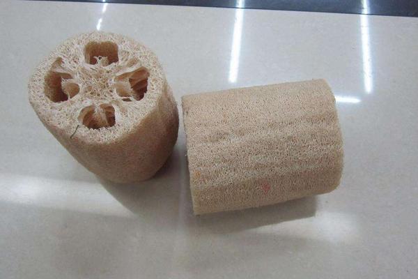 絲瓜瓤的功效與作用及禁忌