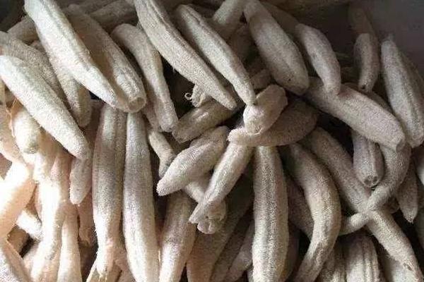 絲瓜瓤的功效與作用及禁忌