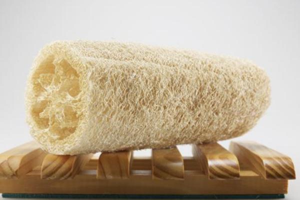 絲瓜瓤的功效與作用及禁忌