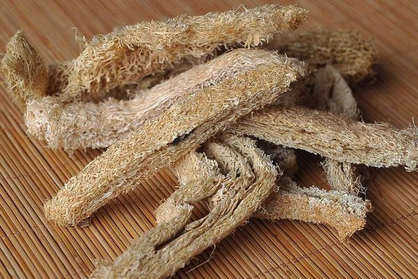 絲瓜瓤的功效與作用及禁忌