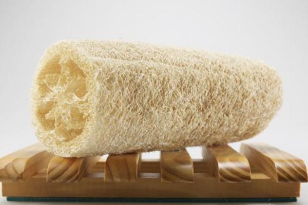 絲瓜瓤煮水喝的功效與作用