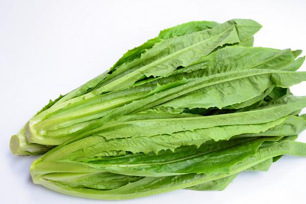 如何挑選萵筍 萵筍選購技巧