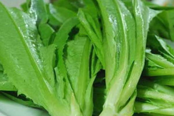 如何挑選萵筍 萵筍選購技巧