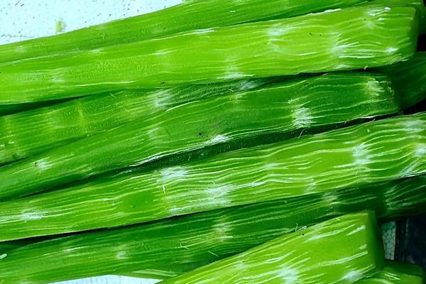 如何挑選萵筍 萵筍選購技巧