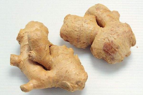生姜和老姜的區別是什么