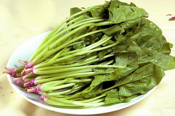 菠菜炒雞蛋的做法大全 家常菠菜炒雞蛋怎么做