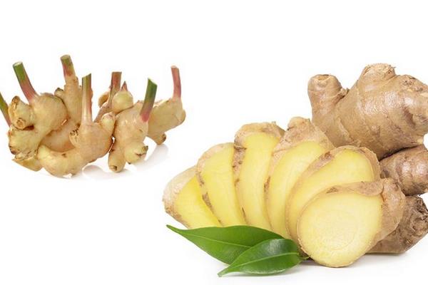 小黃姜和普通生姜的區別是什么