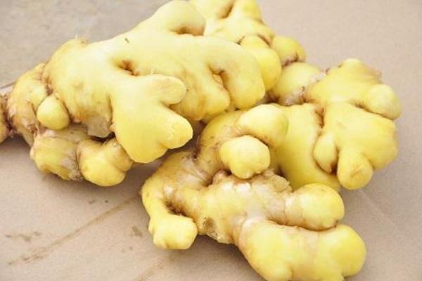 小黃姜和普通生姜的區別是什么